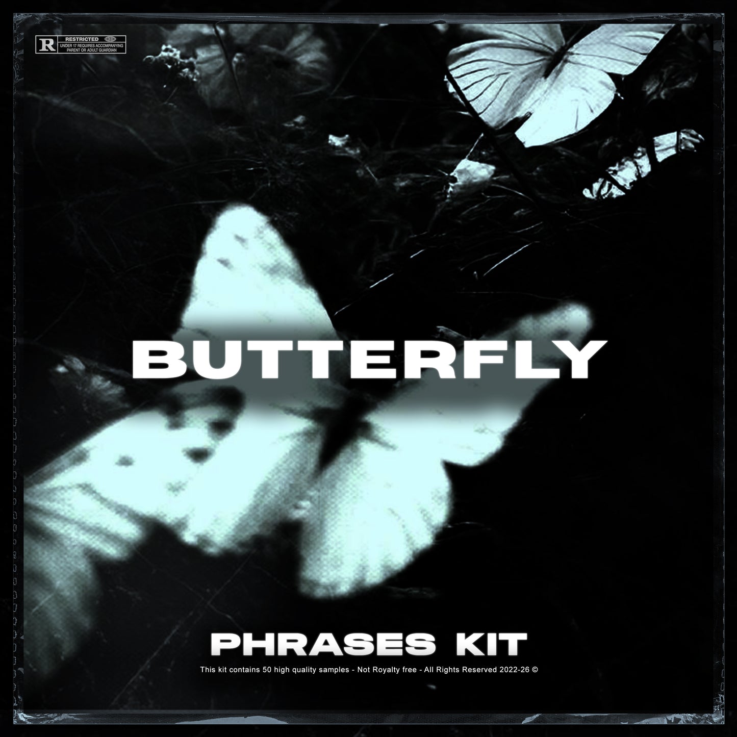 (DEMO) BUTTERFLY PHRASES KIT