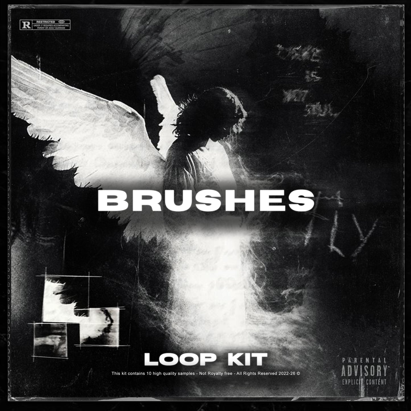 BRUSHES LOOP KIT