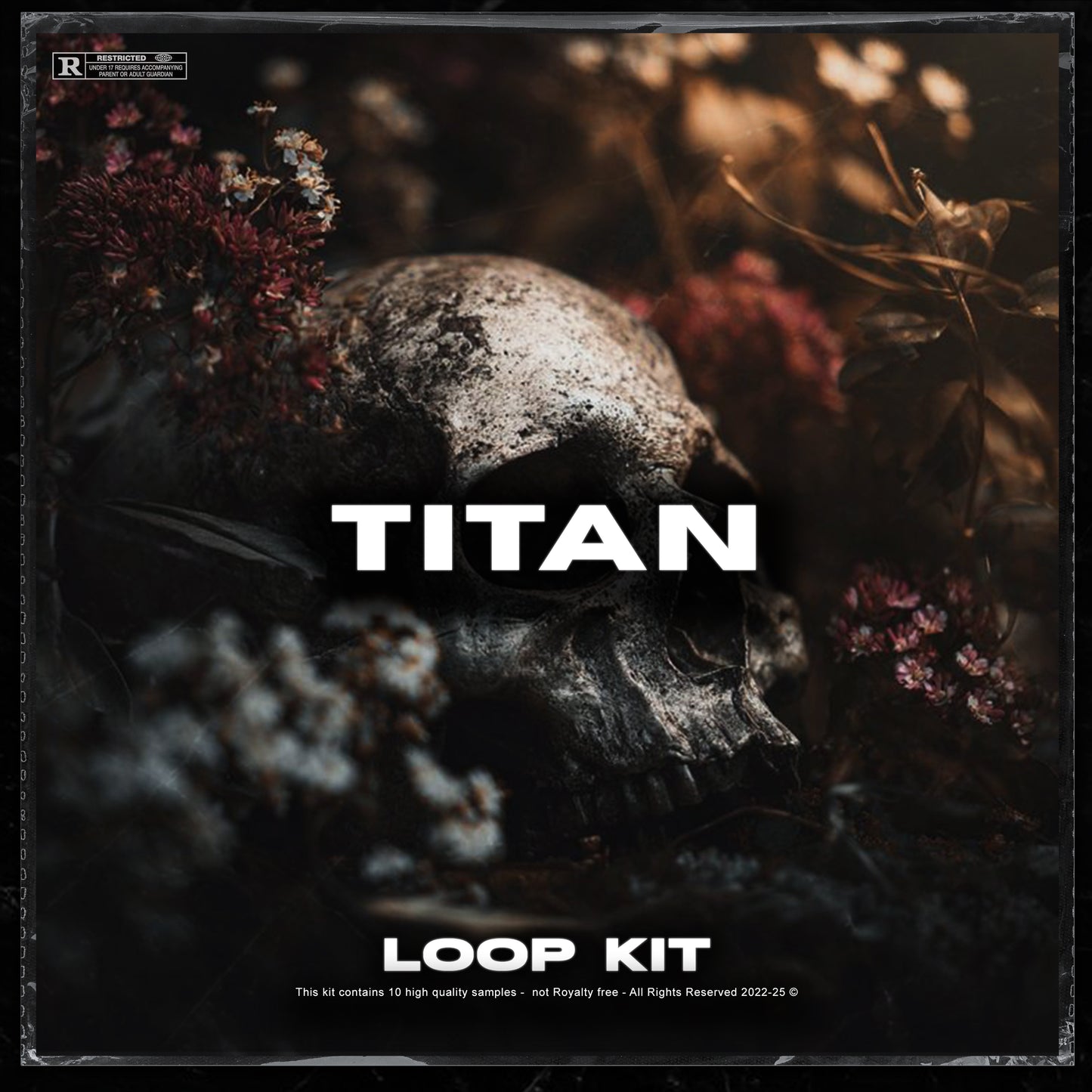 TITAN LOOP KIT