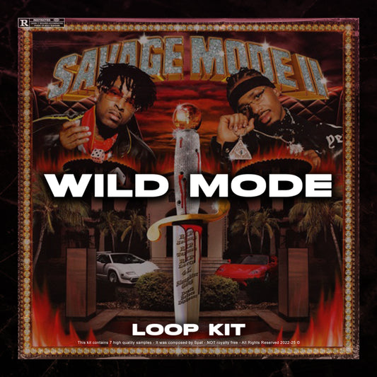 WILD MODE LOOP KIT